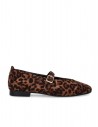 Leopardo