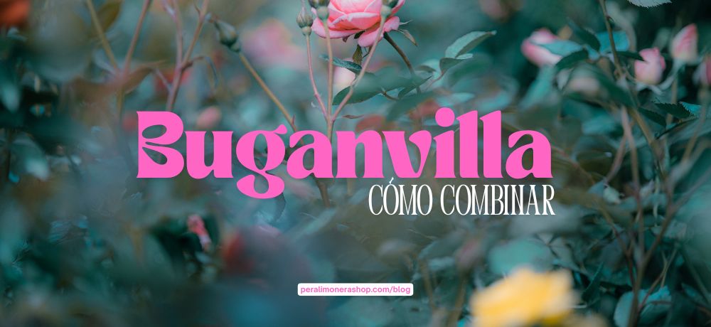 portada cómo combinar color buganvilla